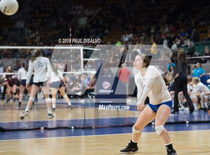 Thumbnail 1 in Cherry Creek vs. Ralston Valley (CHSAA 5A First Round) photogallery.