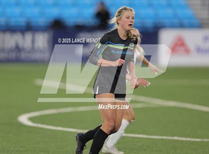 Thumbnail 2 in Windsor @ Evergreen (CHSAA 4A Final) photogallery.