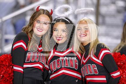 Thumbnail 1 in Norman @ Mustang photogallery.
