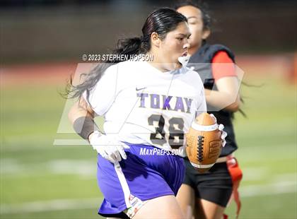 Thumbnail 1 in Tokay @ Lincoln photogallery.