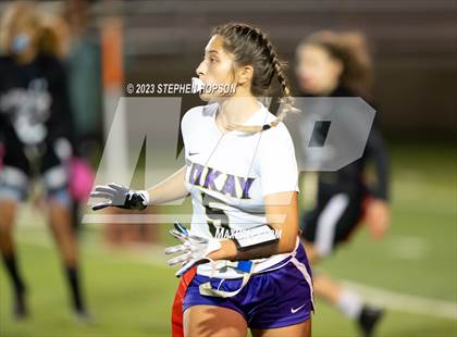 Thumbnail 3 in Tokay @ Lincoln photogallery.