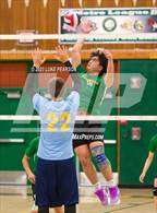 Photo from the gallery "River City @ Kennedy"