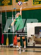 Photo from the gallery "River City @ Kennedy"