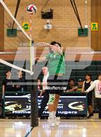 Photo from the gallery "River City @ Kennedy"