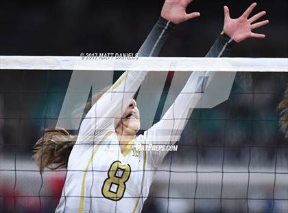 Thumbnail 3 in Rock Canyon vs. Castle View (CHSAA 5A Pool 3 Tiebreaker) photogallery.