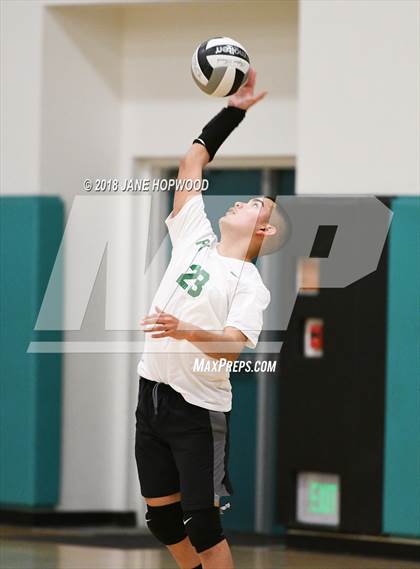 Thumbnail 2 in Pajaro Valley @ Christopher photogallery.