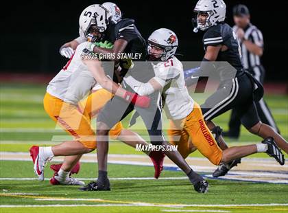 Thumbnail 1 in Chaparral @ Apollo photogallery.