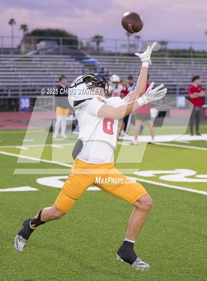 Thumbnail 1 in Chaparral @ Apollo photogallery.