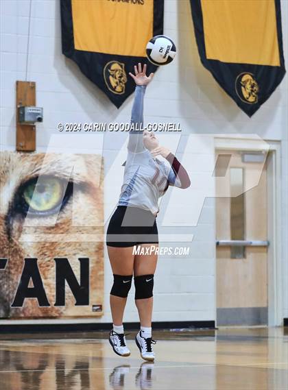 Thumbnail 3 in Dixon @ Croatan photogallery.