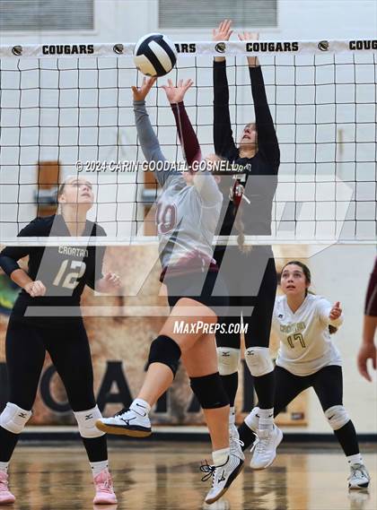 Thumbnail 1 in Dixon @ Croatan photogallery.