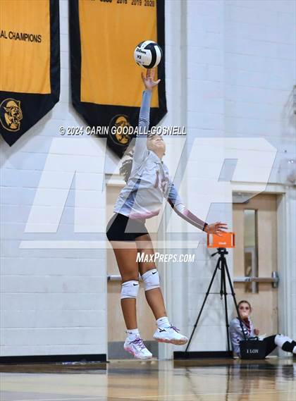 Thumbnail 2 in Dixon @ Croatan photogallery.