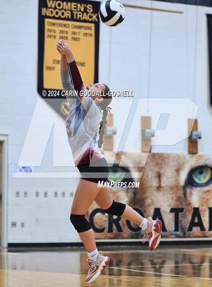 Thumbnail 1 in Dixon @ Croatan photogallery.