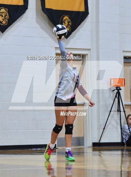 Thumbnail 2 in Dixon @ Croatan photogallery.
