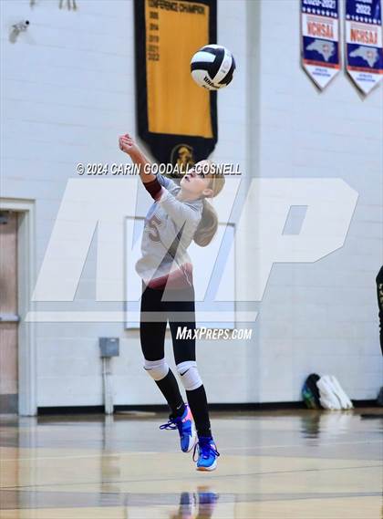 Thumbnail 1 in Dixon @ Croatan photogallery.