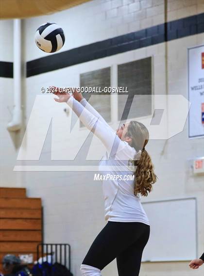Thumbnail 1 in Dixon @ Croatan photogallery.