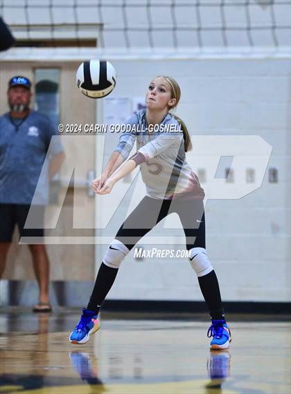Thumbnail 1 in Dixon @ Croatan photogallery.