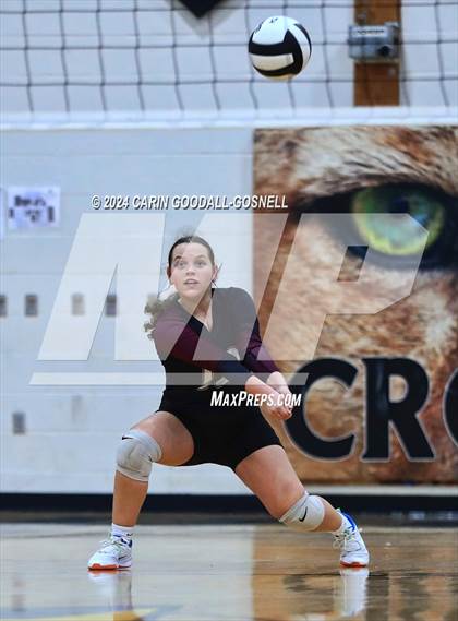 Thumbnail 1 in Dixon @ Croatan photogallery.