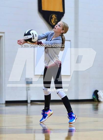 Thumbnail 3 in Dixon @ Croatan photogallery.