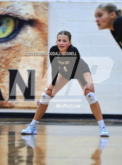 Thumbnail 2 in Dixon @ Croatan photogallery.