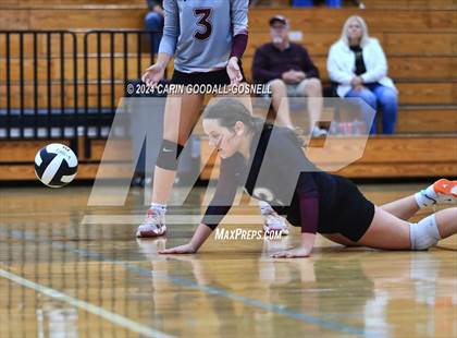 Thumbnail 1 in Dixon @ Croatan photogallery.