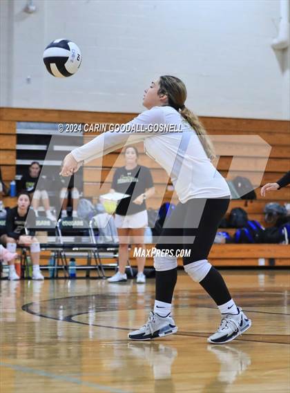 Thumbnail 1 in Dixon @ Croatan photogallery.