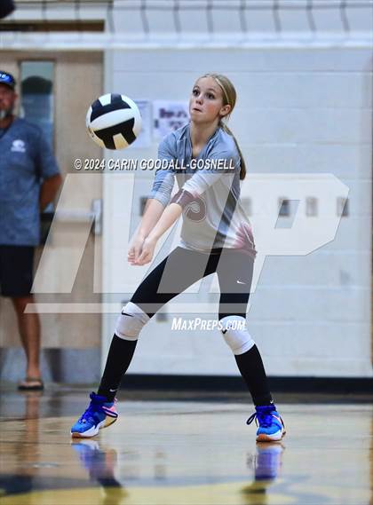 Thumbnail 3 in Dixon @ Croatan photogallery.