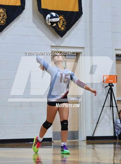 Thumbnail 1 in Dixon @ Croatan photogallery.
