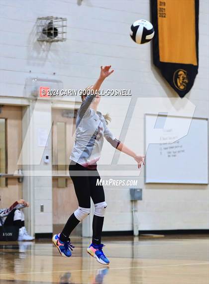 Thumbnail 3 in Dixon @ Croatan photogallery.