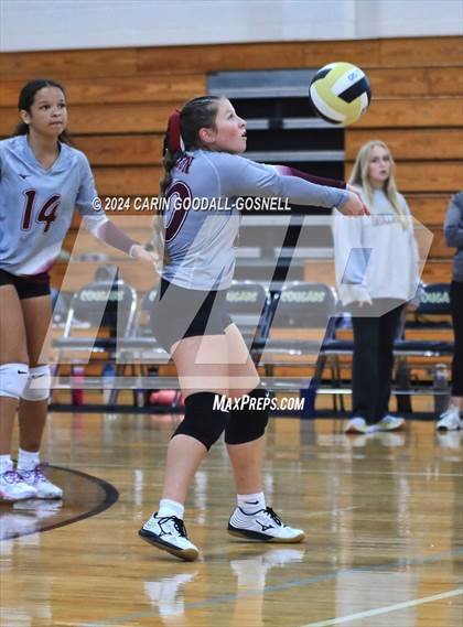 Thumbnail 1 in Dixon @ Croatan photogallery.
