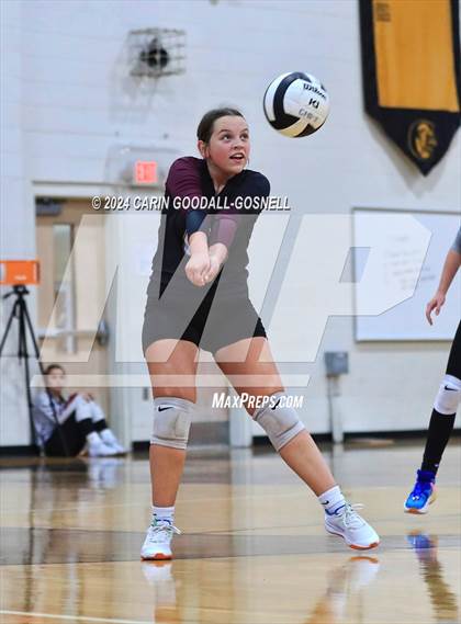 Thumbnail 2 in Dixon @ Croatan photogallery.