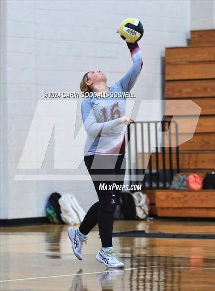 Thumbnail 1 in Dixon @ Croatan photogallery.