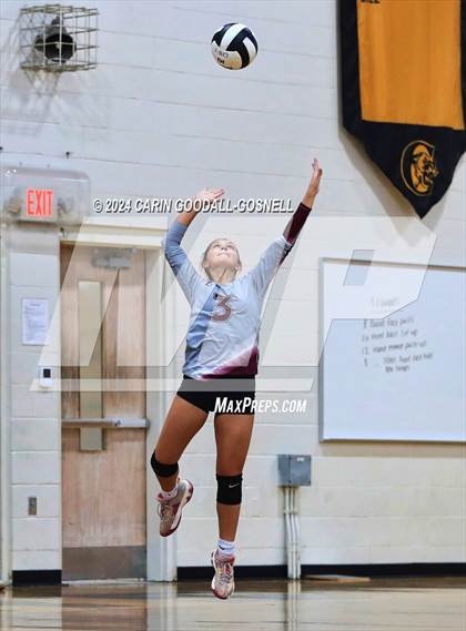 Thumbnail 1 in Dixon @ Croatan photogallery.