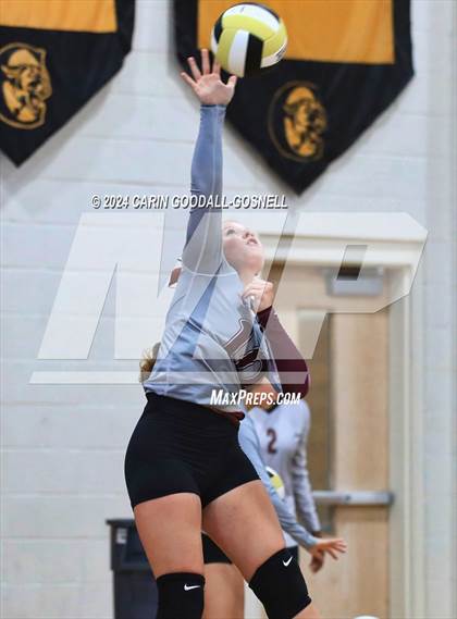 Thumbnail 1 in Dixon @ Croatan photogallery.