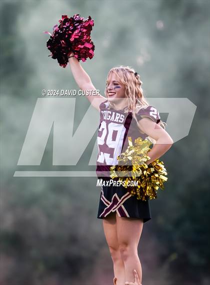 Thumbnail 1 in West Springfield @ Oakton photogallery.