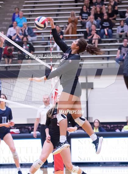 Thumbnail 3 in Churchill vs Johnson photogallery.