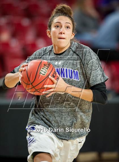 Thumbnail 1 in Desert Vista vs. Millennium (AIA Division 1 Quarterfinal)  photogallery.