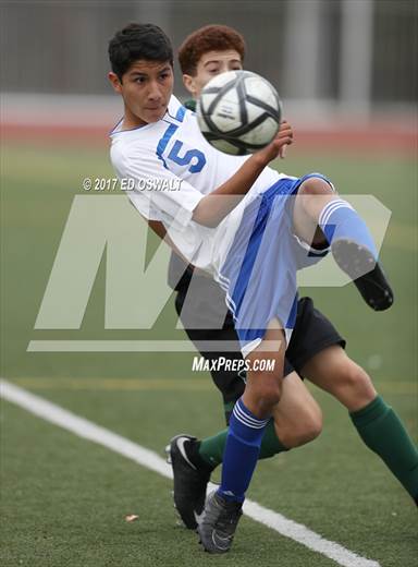 null - Photo 01