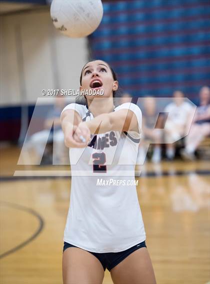 Thumbnail 1 in Sunlake @ Palm Harbor University photogallery.