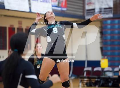 Thumbnail 1 in Sunlake @ Palm Harbor University photogallery.