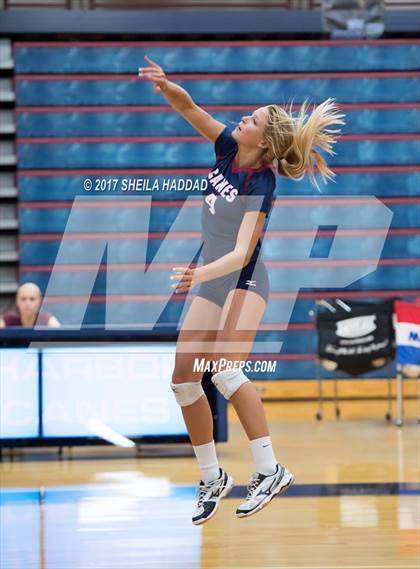 Thumbnail 3 in Sunlake @ Palm Harbor University photogallery.
