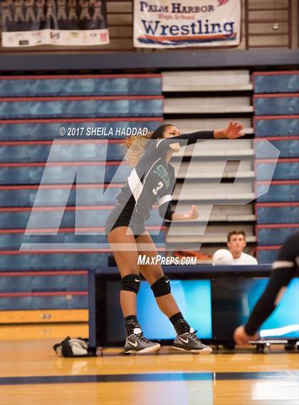 Thumbnail 2 in Sunlake @ Palm Harbor University photogallery.