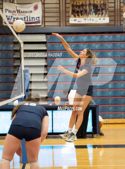Thumbnail 1 in Sunlake @ Palm Harbor University photogallery.