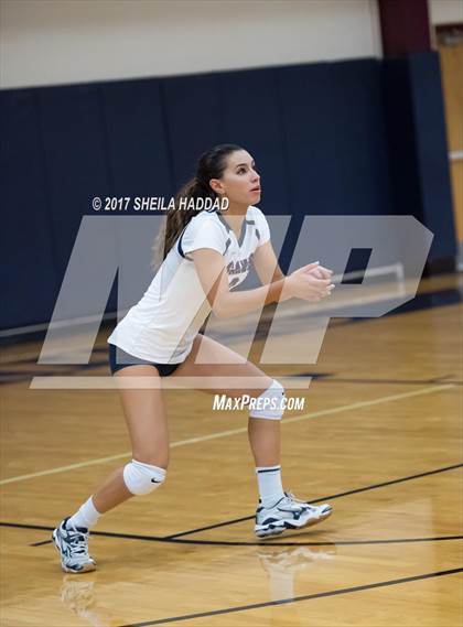 Thumbnail 3 in Sunlake @ Palm Harbor University photogallery.