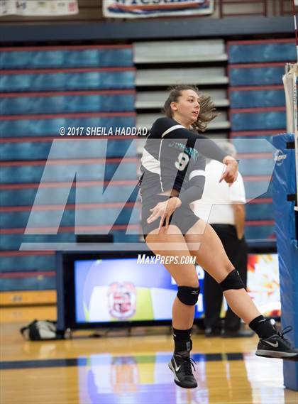 Thumbnail 3 in Sunlake @ Palm Harbor University photogallery.