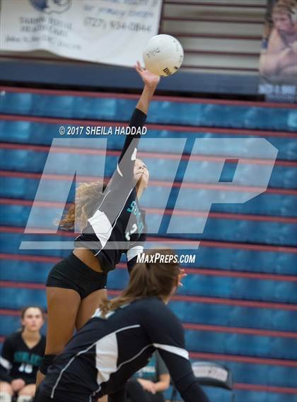 Thumbnail 3 in Sunlake @ Palm Harbor University photogallery.
