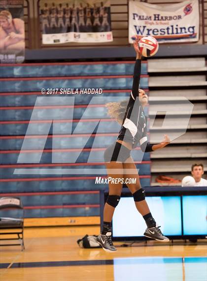 Thumbnail 1 in Sunlake @ Palm Harbor University photogallery.
