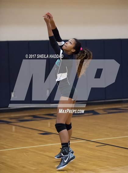 Thumbnail 3 in Sunlake @ Palm Harbor University photogallery.