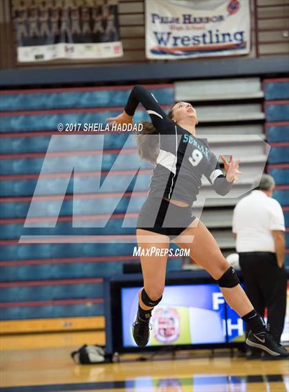 Thumbnail 1 in Sunlake @ Palm Harbor University photogallery.