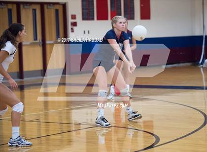 Thumbnail 2 in Sunlake @ Palm Harbor University photogallery.