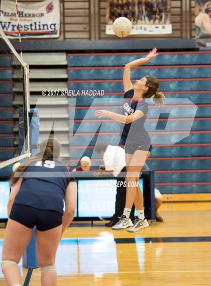 Thumbnail 3 in Sunlake @ Palm Harbor University photogallery.